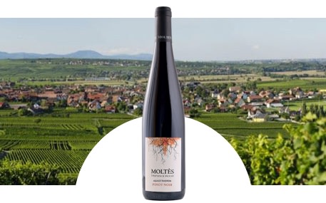 Domaine Moltès Antoine et Fils