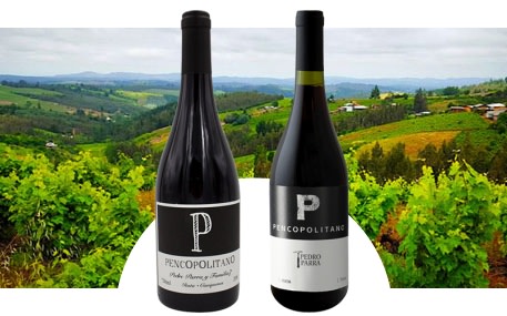 Pedro Parra y Familia