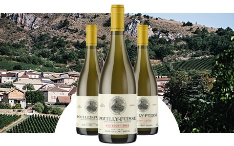 Domaine du Roc des Boutires