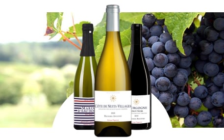 Domaine Richard Angonin