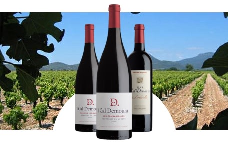 Mas Cal Demoura