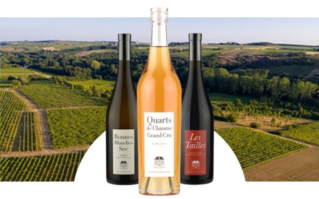 Domaine Ogereau