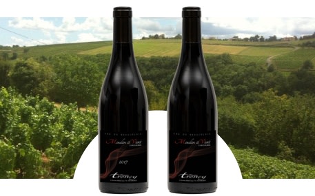 Domaine Maxime Troncy