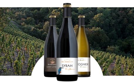 Vignoble De Boisseyt