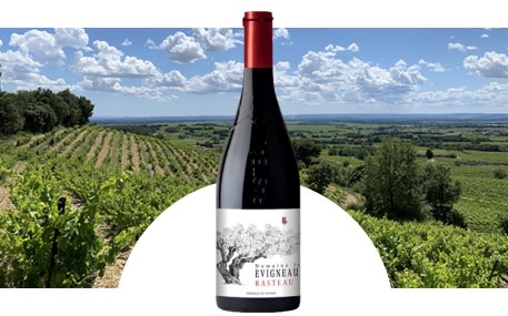 Domaine des Evigneaux