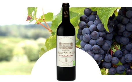 Château Saint Valentin