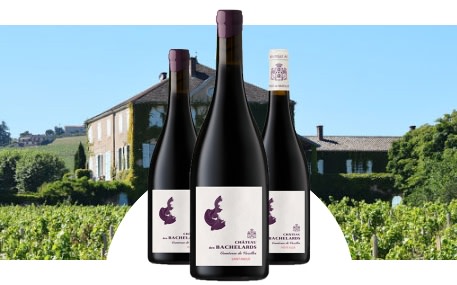 Château des Bachelards