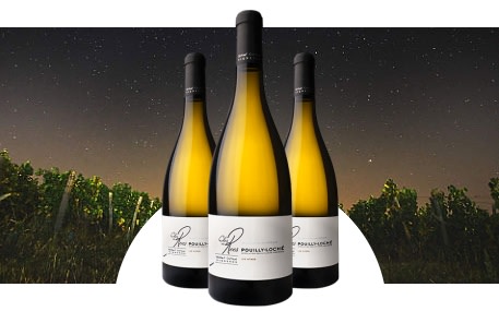 Domaine du Clos des Rocs