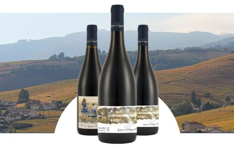 Domaine Grégoire Hoppenot