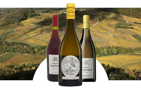 Domaines des Carlines