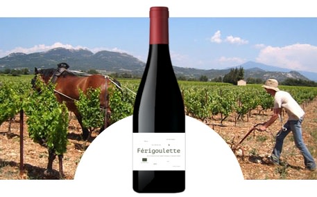 Frédéri Férigoule