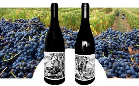 Domaine Valérie Courrèges