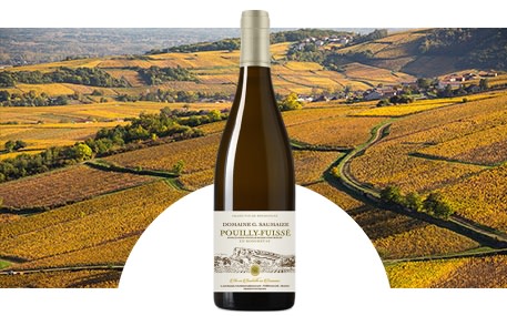 Domaine G. Saumaize