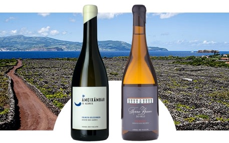 Weinkeller Adega do Vulcão