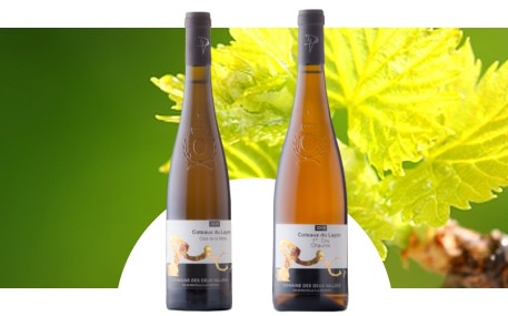 Domaine des Deux Vallées