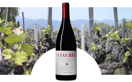 Tenute Pietro Caciorgna