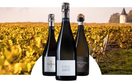 Champán Le Brun de Neuville