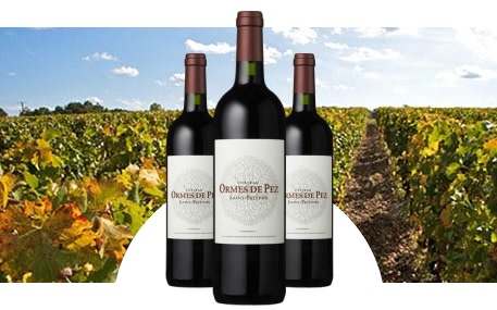 Château Ormes de Pez