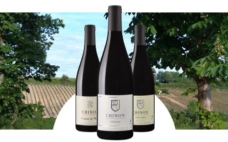 Domaine Philippe Alliet