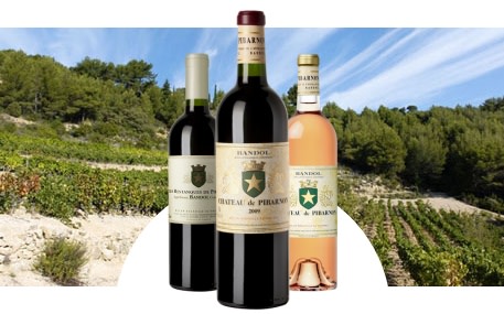 Château de Pibarnon