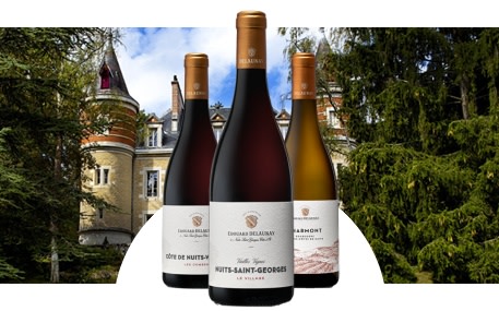 Maison Edouard Delaunay