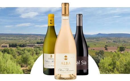 Kasteel Ollieux Romanis