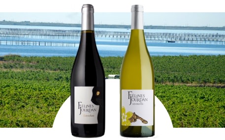 Domaine Félines Jourdan