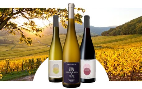 Julien et Sophie Schaal