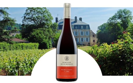 Domaine de Suremain