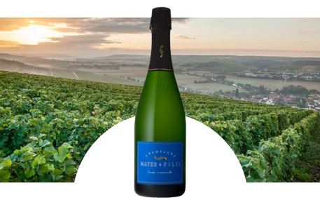 Champagne Mater & Filii