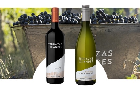 Terrazas De Los Andes