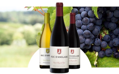 Domaine Roc d'Anglade