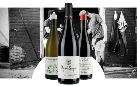 Domaine Dupré Goujon