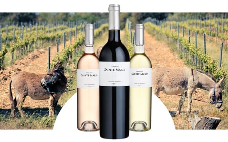 Domaine Sainte-Marie