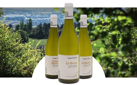 Domaine Emmanuel Giboulot
