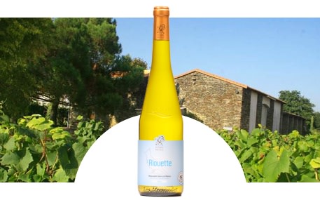 Domaine Pétard-Bazile