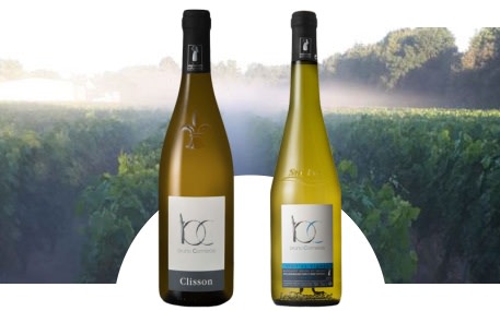 Domaine Bruno Cormerais