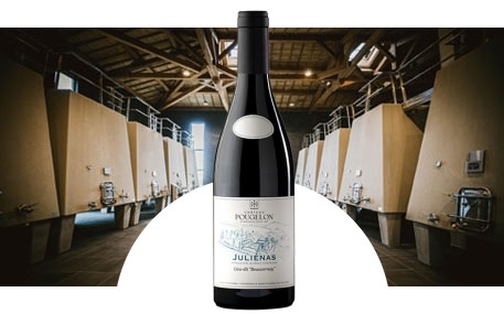 Château de Pougelon