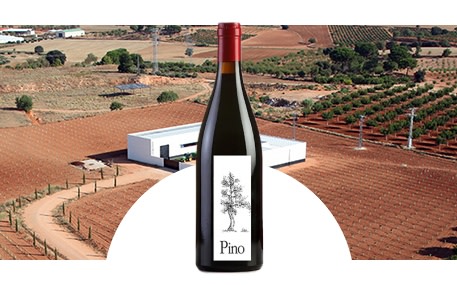 Bodegas y Viñedos Ponce