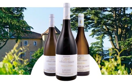 Domaine du Château de la Violette