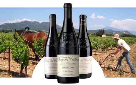 Domaine Le Sang des Cailloux