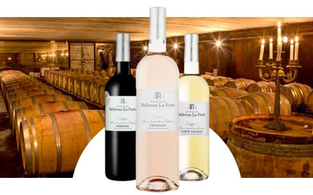 Château Bellevue La Forêt