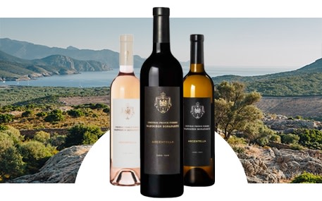 Château Prince Pierre Napoléon Bonaparte