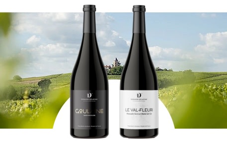 Domaine Florent Delaunay