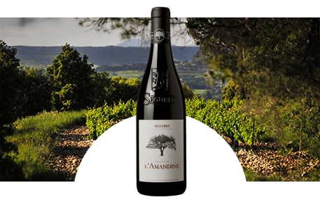 Domaine de l'Amandine