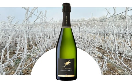 Champagne Jacques Chaput
