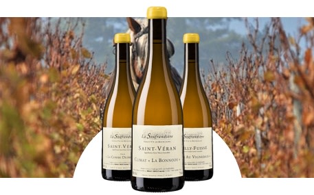 Domaine de la Soufrandière