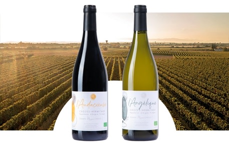 Domaine Marion Chirouze