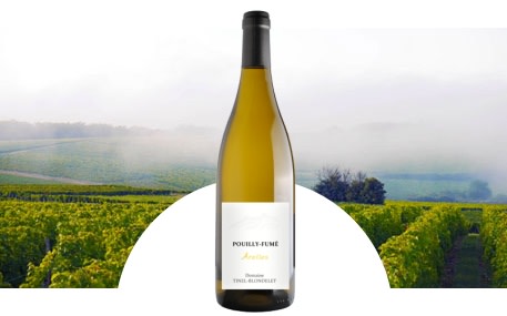 Finca Tinel Blondelet