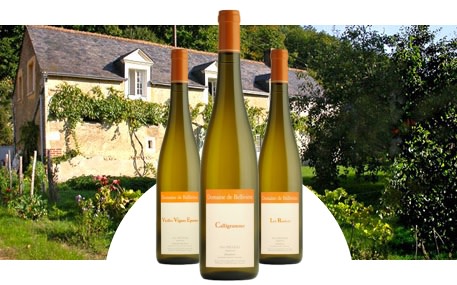 Domaine de Bellivière